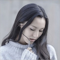 Audífonos Manos Libres Xiaomi Mi In-Ear Headphones Pro HD